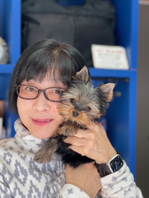 ヨーキーのアッシュちゃんとご家族様