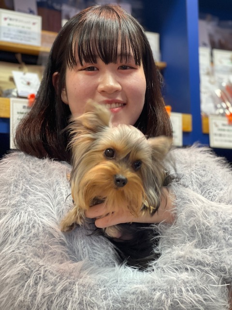 ヨークシャーテリア ロアちゃんとご家族様